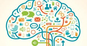 knowledge-management-wordpress
